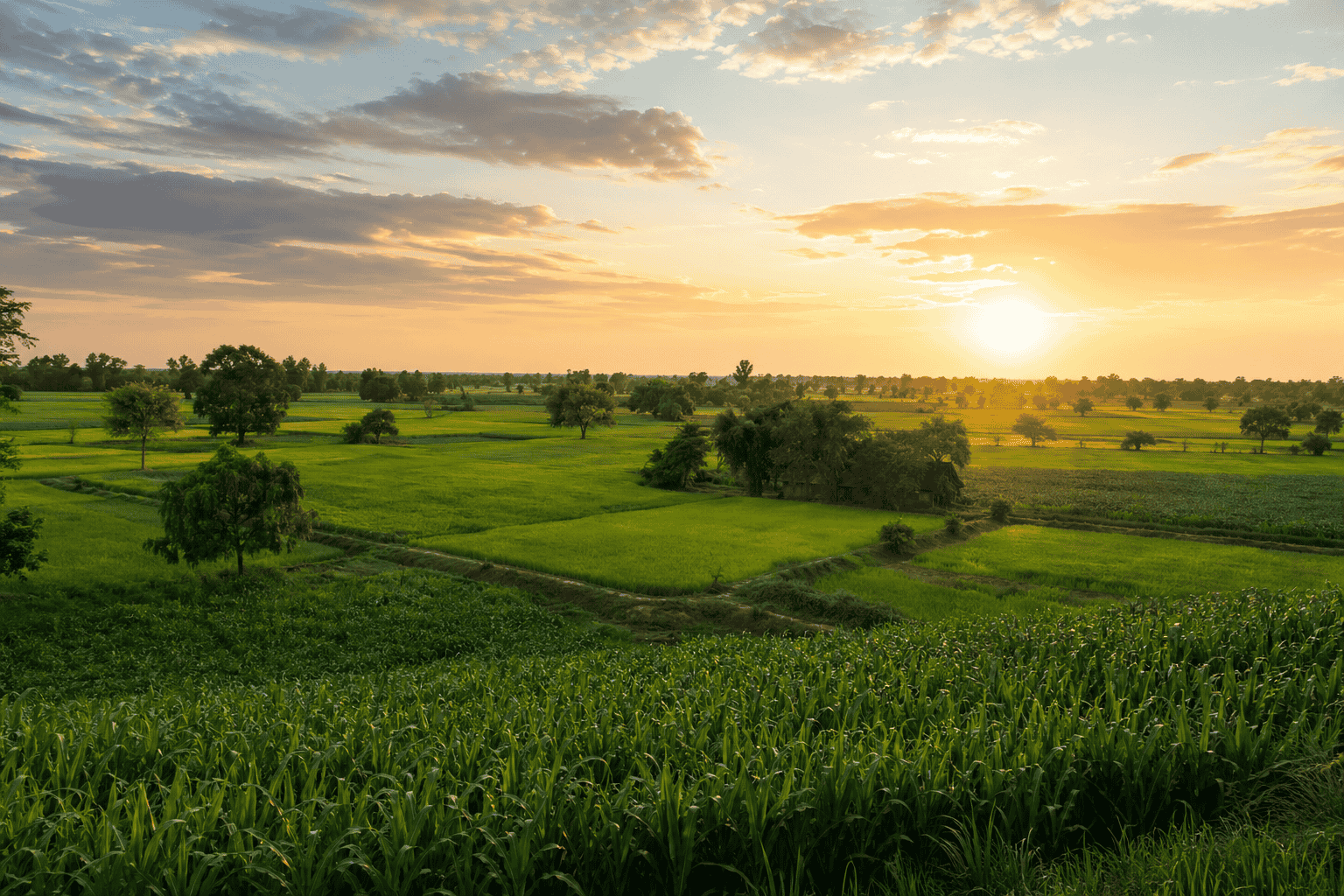 भारतीय किसानों के लिए
