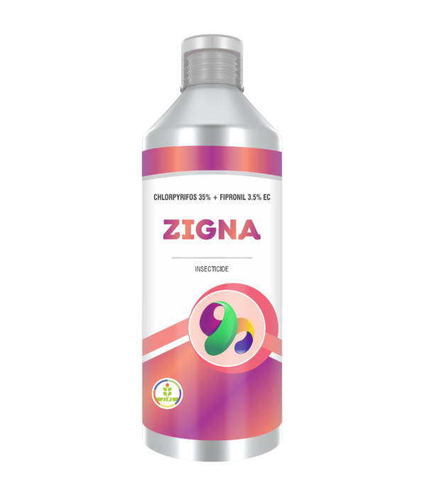 Zigna
