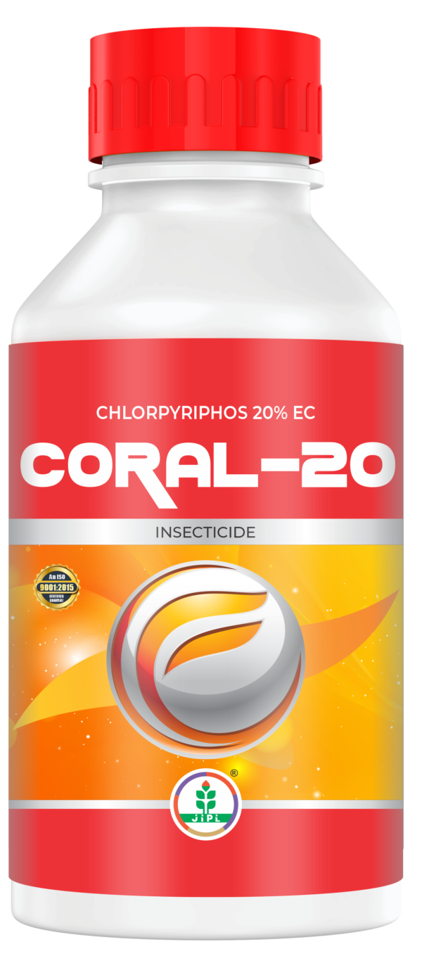 Coral - 20
